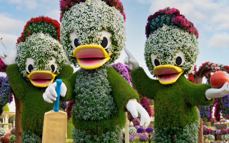 Miracle Garden Dubai
