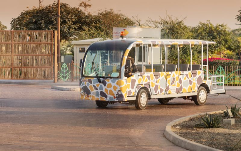 UAE Guided safari bus rides at on an asphalt road