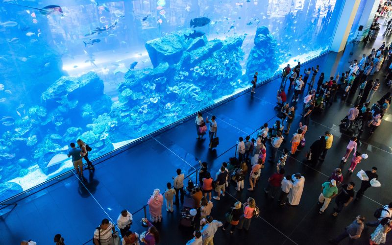 Dubai Underwater Zoo and Aquarium