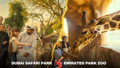 Dubai Safari Park vs Emirates Park Zoo